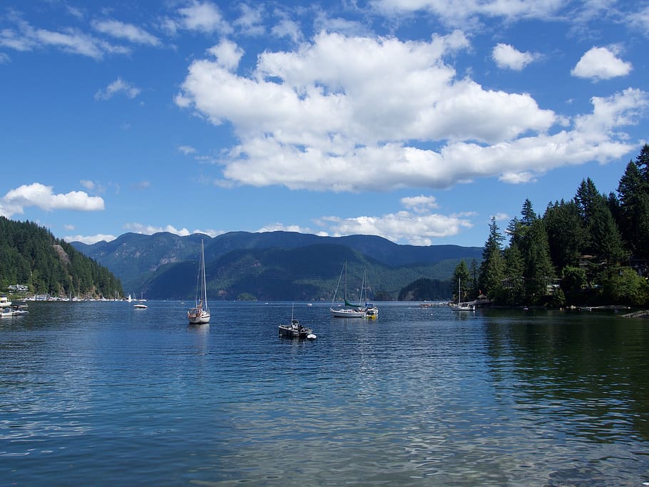 canada, deep cove, lake, trees, forrest, water, nautical vessel HD wallpaper