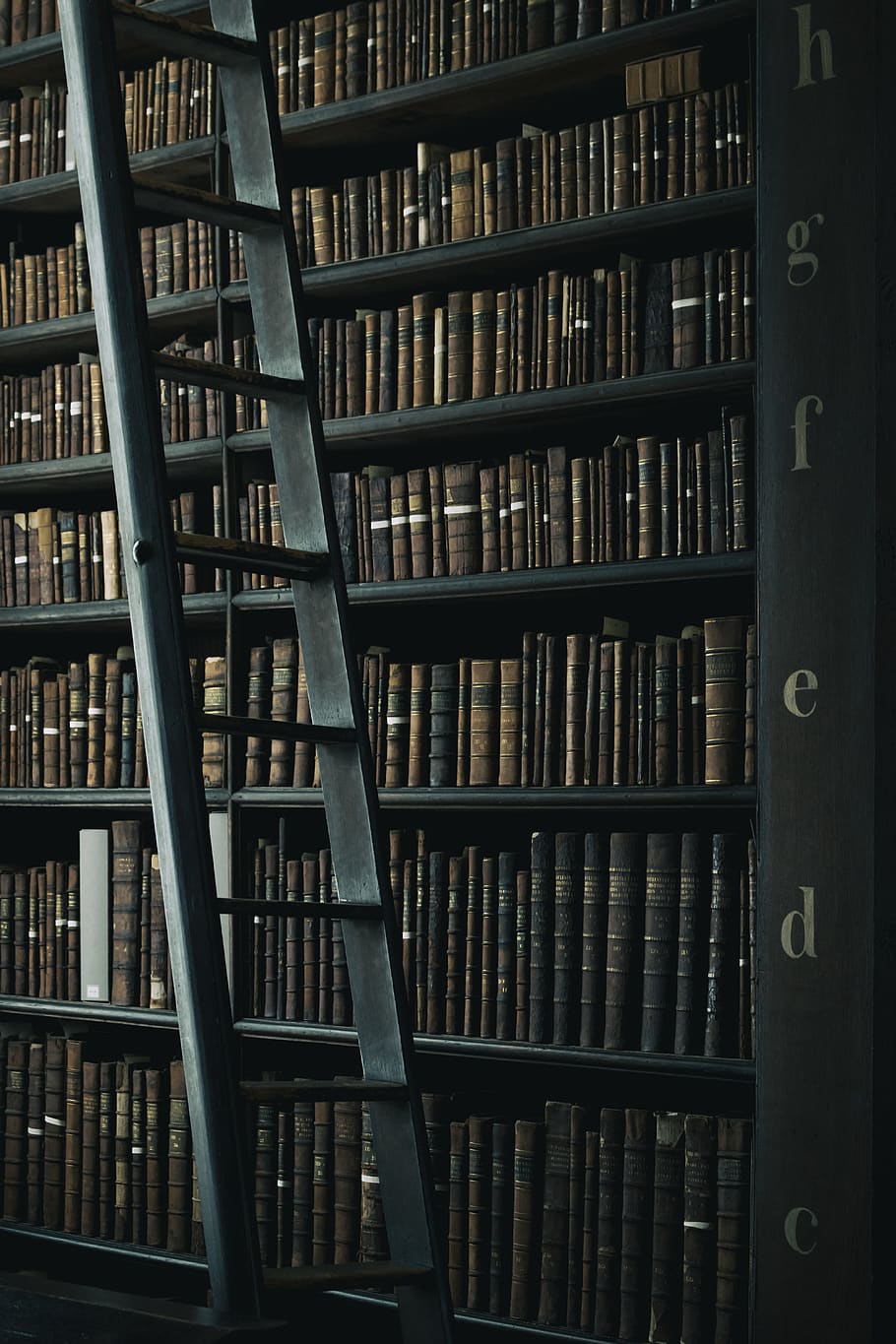 library shelf near black wooden ladder, book, interior design, HD wallpaper