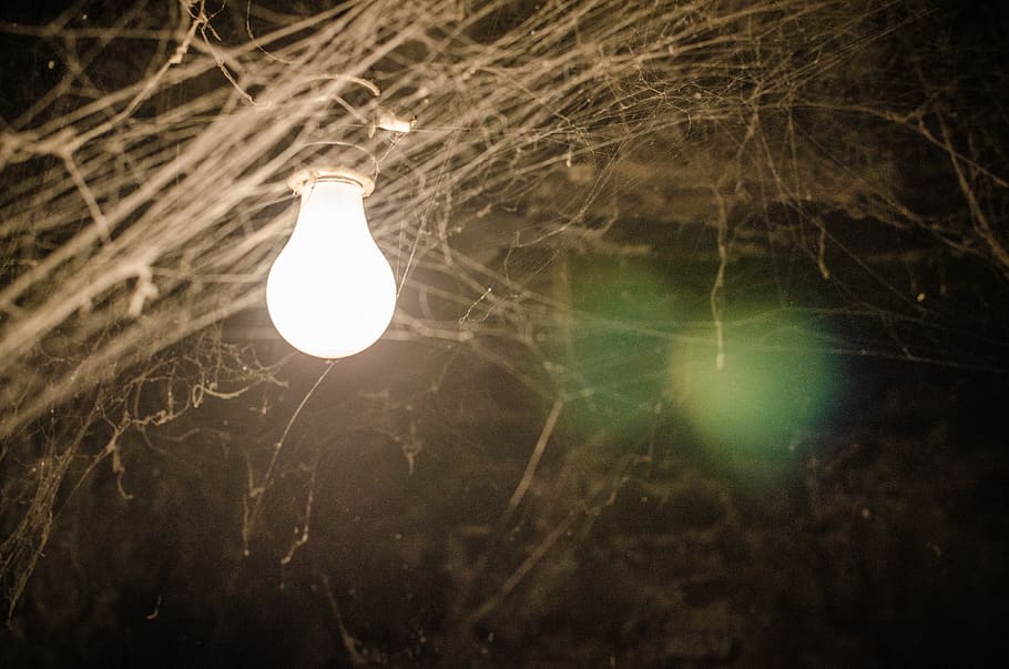 light, lightbulb, old, basement, cobweb, spiderweb, tangle HD wallpaper