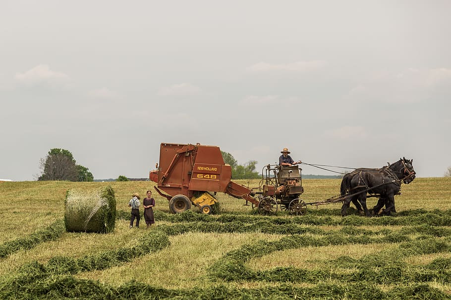 work, field, machine, activity, job, agriculture, rural scene HD wallpaper