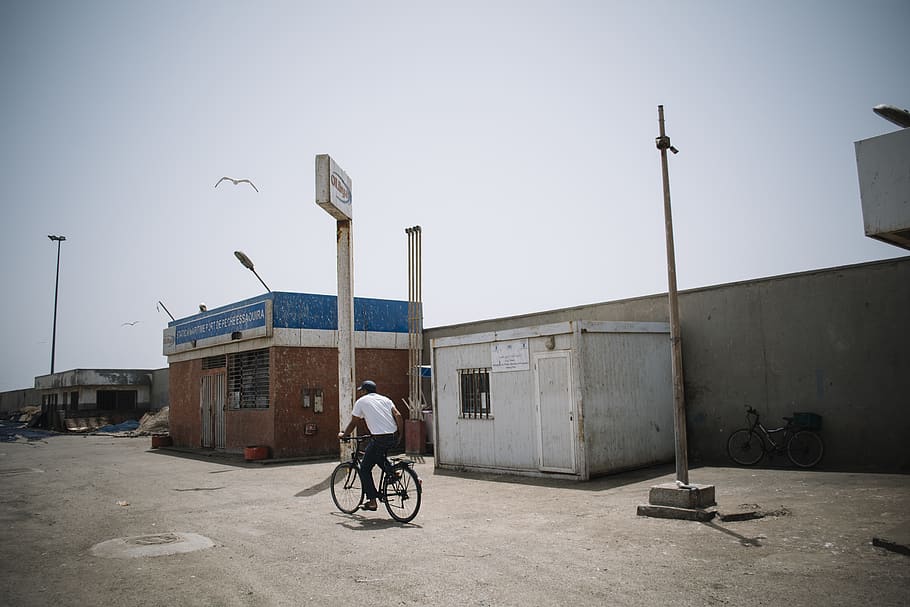 man riding bicycle, transportation, building exterior, architecture HD wallpaper