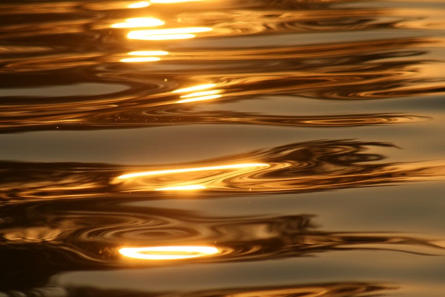 canada, lethbridge, gold, reflection, sunstar, motion, gold colored HD wallpaper