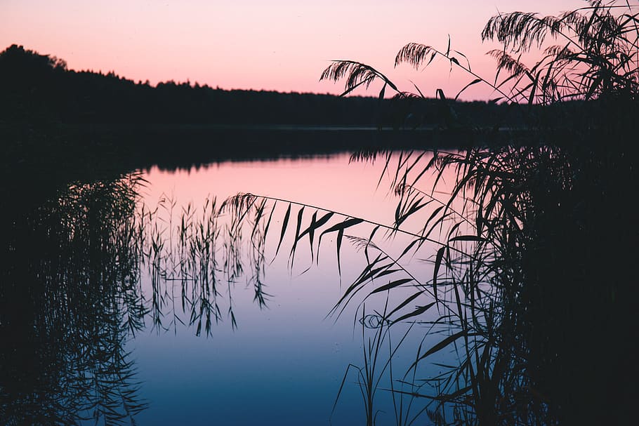 reflection, lake, water, beauty in nature, sky, tranquility HD wallpaper