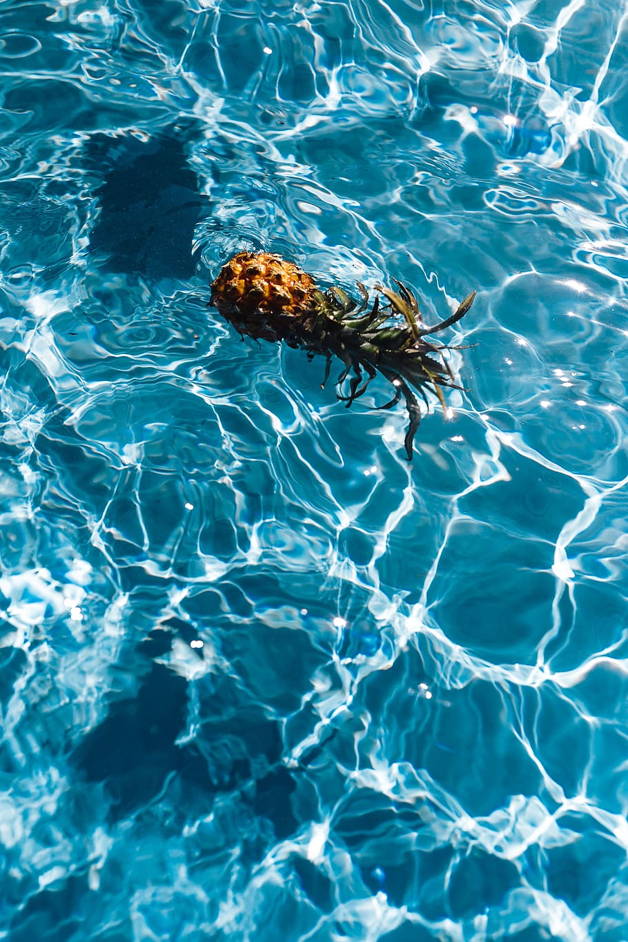 Pineapple in a swimming pool, day, summer, water, copyspace, fruits