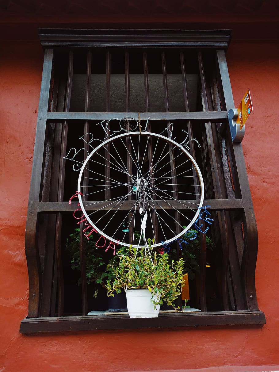 architecture, rural, potted plant, window, no people, built structure HD wallpaper