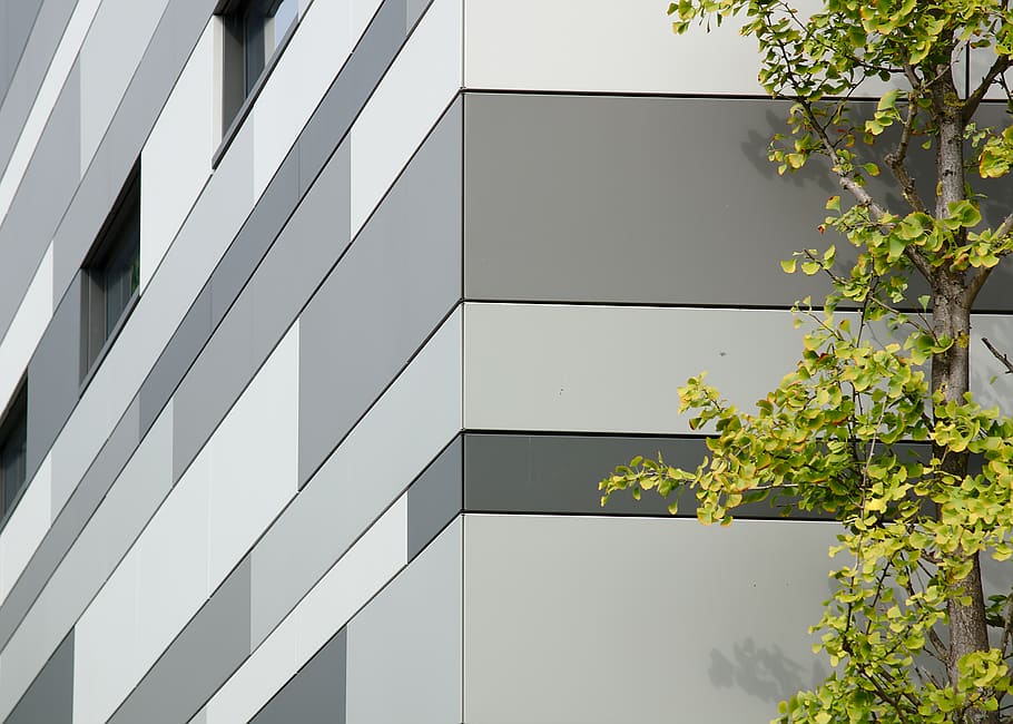 Green Leafed Tree, architectural design, architecture, bright HD wallpaper