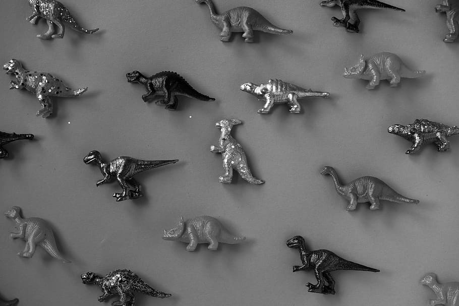 ancient, animals, assorted, assortment, background, black and white HD wallpaper