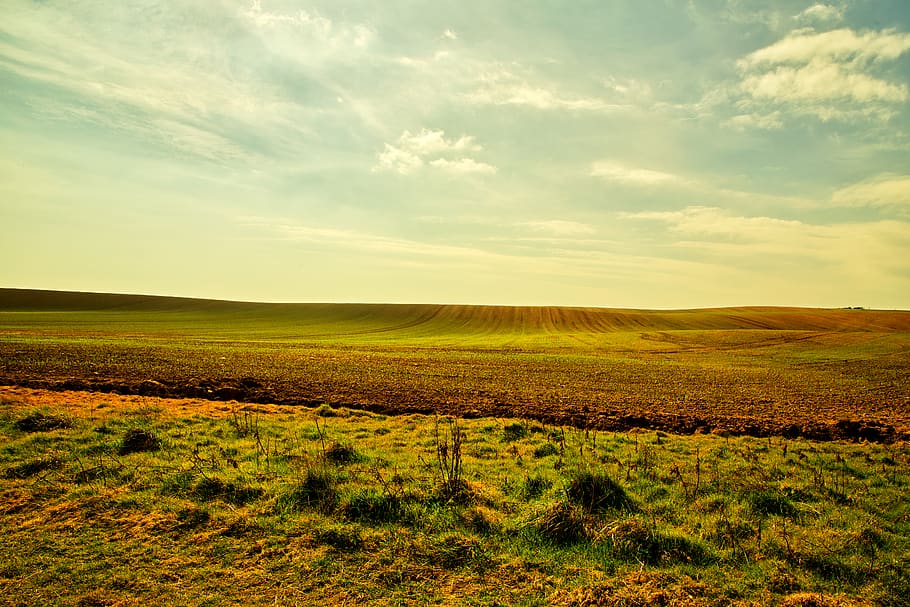 grass field, tranquil scene, sky, tranquility, landscape, environment HD wallpaper