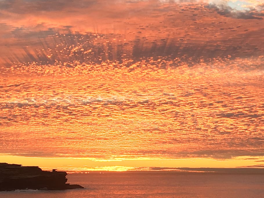 australia, malabar, sunset, sky, orange color, beauty in nature HD wallpaper