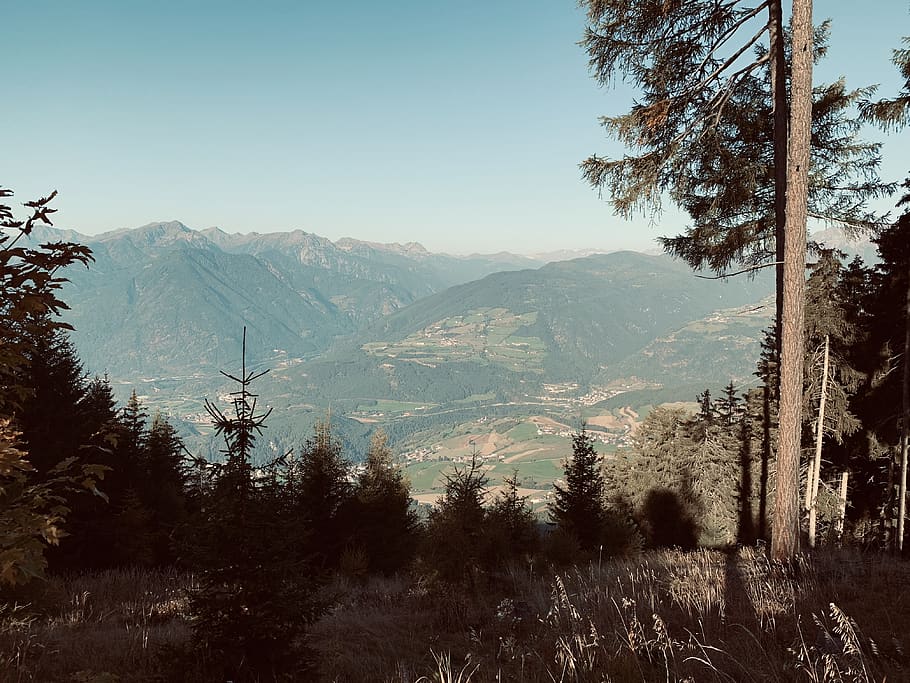 trees and mountains, plant, outdoors, mountain range, nature HD wallpaper