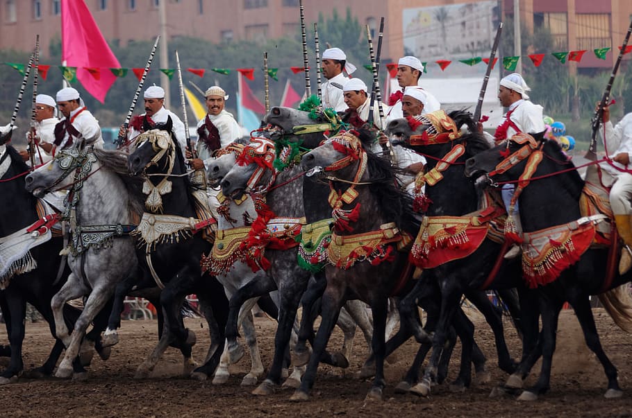 morocco, el mansouria, fantasia, horses, guns, traditionnal, HD wallpaper