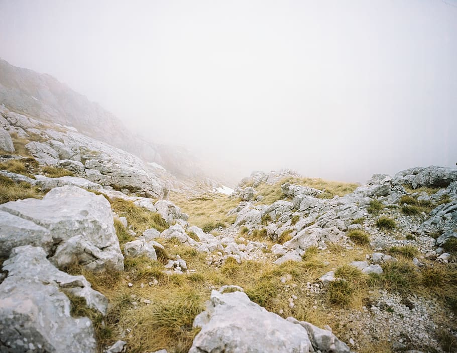 gray rocks, fog, beauty in nature, rock - object, solid, scenics - nature HD wallpaper