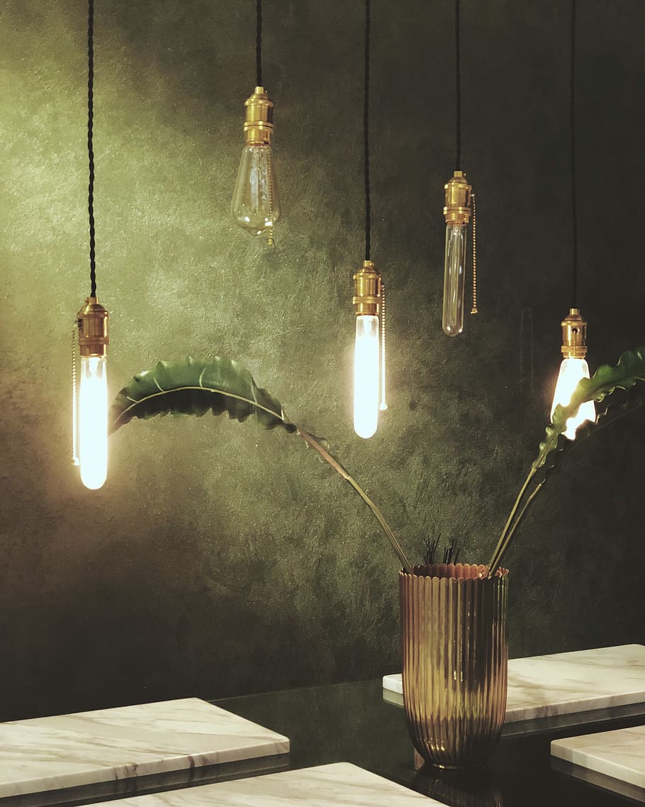 Green Leaves in Glass Vase Under Clear Bulb Pendant Lamps, illuminated HD wallpaper