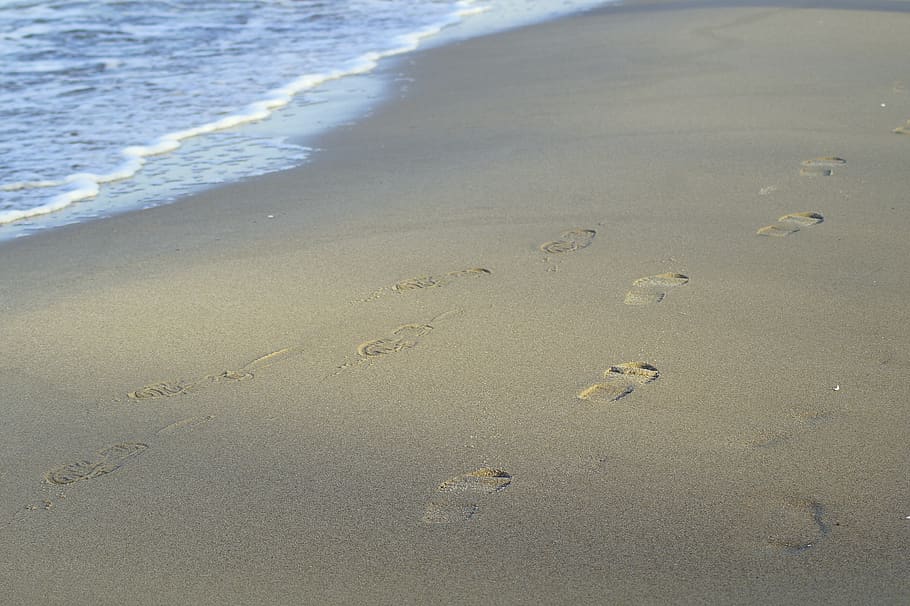 traces, prints, footprints, sand, beach, sea, landscape, water HD wallpaper