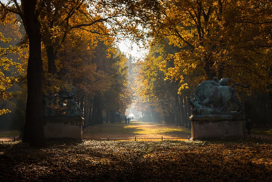 autumn, fall, trees, leaves, sun, sunshine, fog, monument, forest HD wallpaper