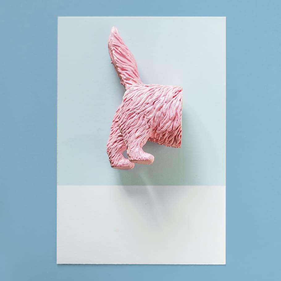 abstract, animal, back, background, behind, blue, card, cat HD wallpaper