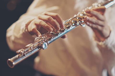 Person Playing Wind Instrument, close-up, concert, entertainment HD wallpaper