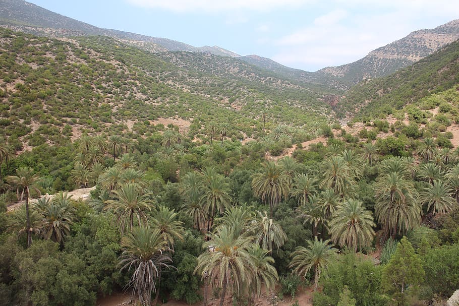 morocco, agadir, atlas mountains day trip from agadir, oasis, HD wallpaper