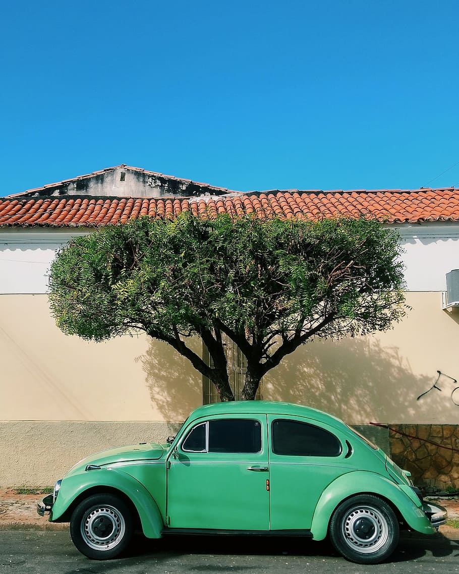 teal Volkswagen beetle car, street, classic car, green car, tree trunk, HD wallpaper