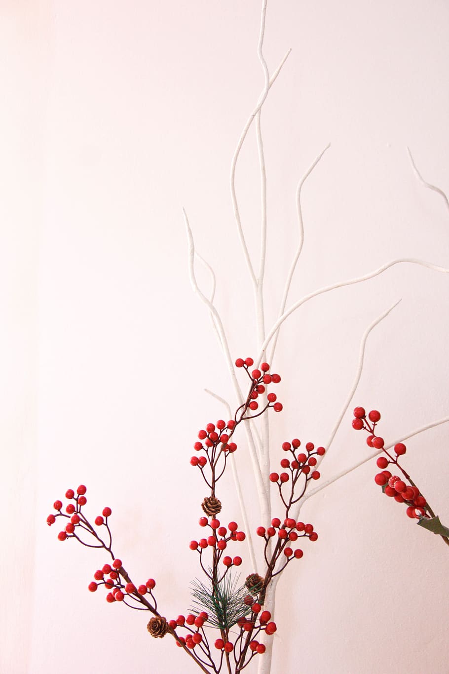 round red fruit tree, plant, flowering plant, beauty in nature HD wallpaper