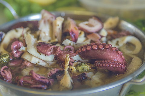 Octopus dish, human, person, people, seafood, meal, bowl, tentacle HD wallpaper