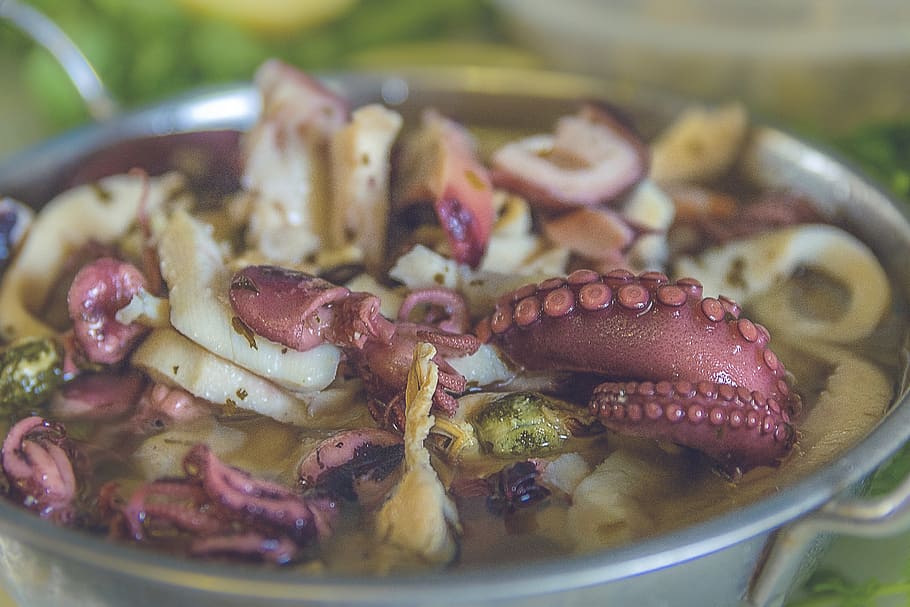 Octopus dish, human, person, people, seafood, meal, bowl, tentacle HD wallpaper