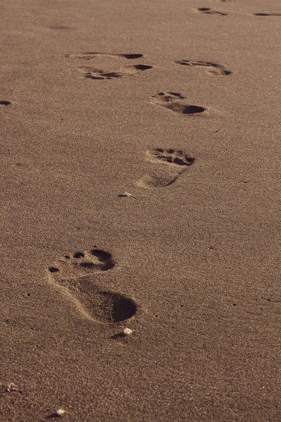 footprints on brown soil, rug, sand, outdoors, nature, roof rack HD wallpaper