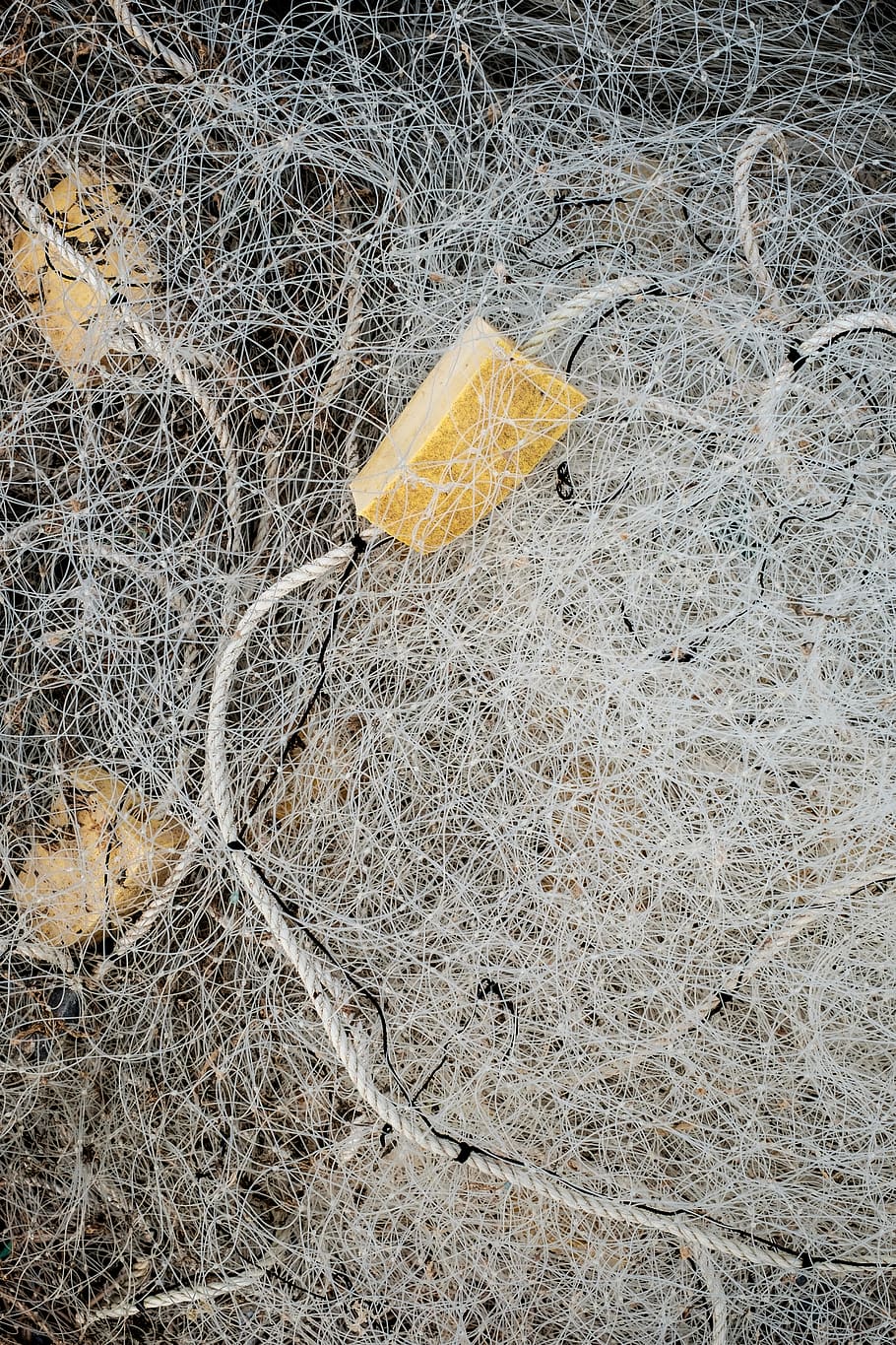 no people, yellow, day, nature, high angle view, plant, dry HD wallpaper