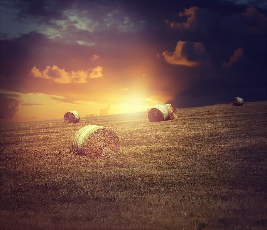 landscape, straw, straw bales, evening sun, twilight, nature HD wallpaper