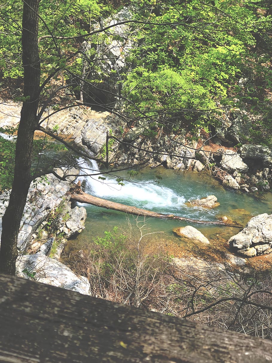 water, nature, outdoors, stream, creek, united states, caddo gap HD wallpaper