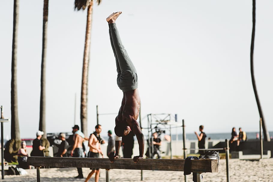 man, handstand, bench, beach, arms, people, gym, workout, recreation HD wallpaper
