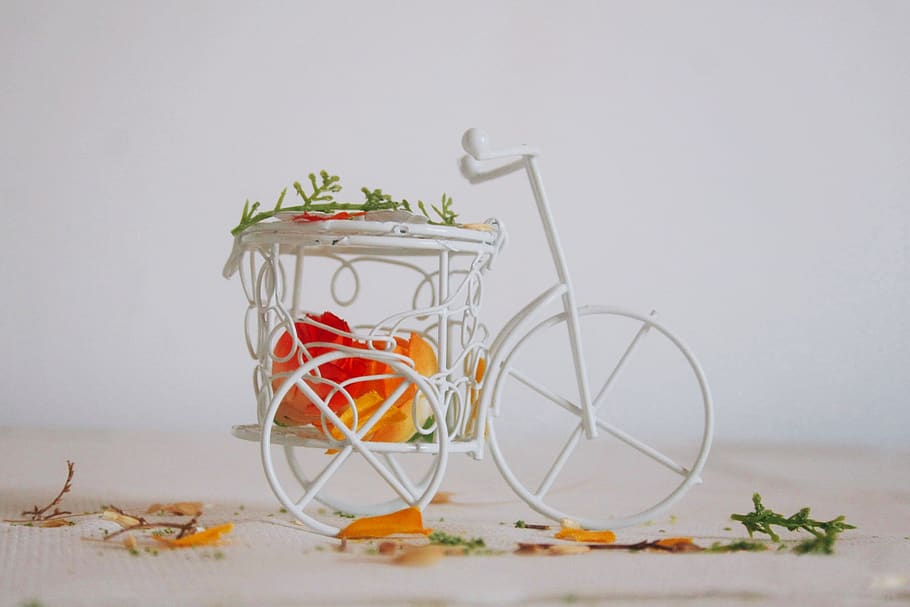 bike, flowers, white, simplicity, plant, container, indoors HD wallpaper