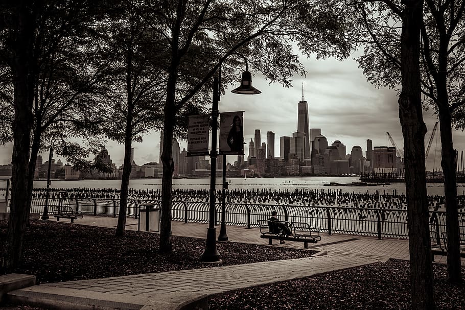 tree, hudson river, world trade center, one world trade, man on bench HD wallpaper