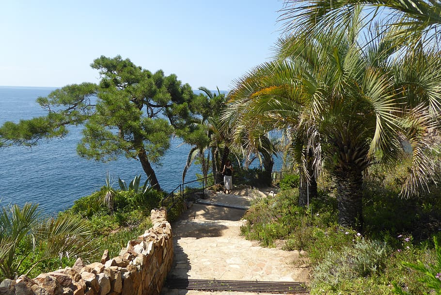 spain, garden, landscape, plant, water, tree, beauty in nature HD wallpaper