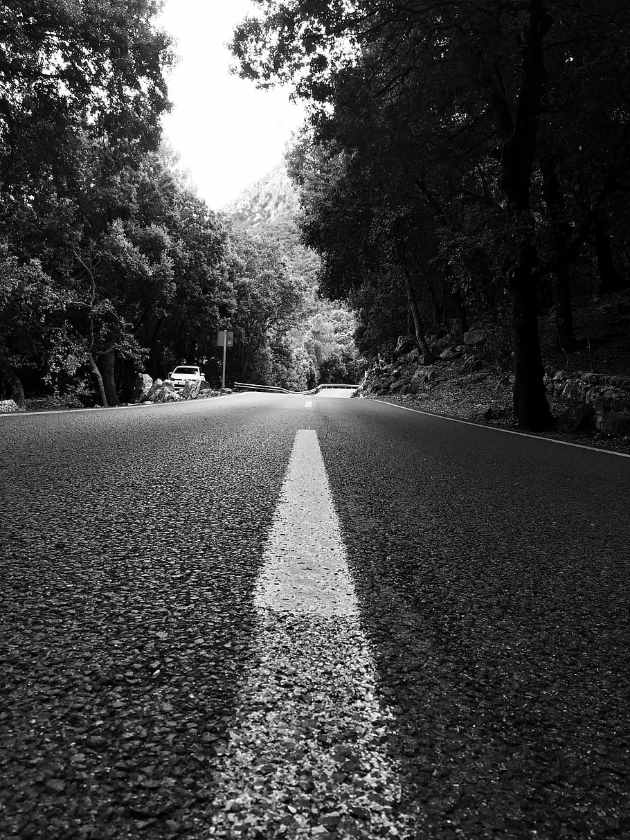 spain, majorca, road, trees, blackandwhite, plant, the way forward HD wallpaper