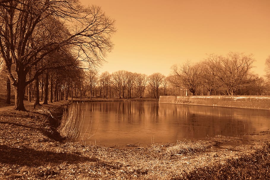water, moat, shore, lane, tree, wall, fortification, fortress, HD wallpaper
