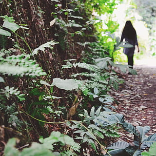 india, kerala, alone, lonely, sad, wonder, green, girl, leaves HD wallpaper