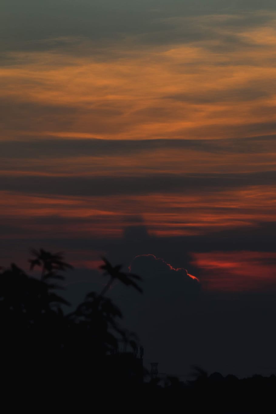 silhouette of tree, nature, outdoors, red sky, dusk, dawn, sunset HD wallpaper