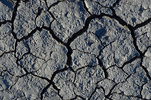 drought, withers, dry, earth, ground, dehydrated, cracks, cracked HD wallpaper