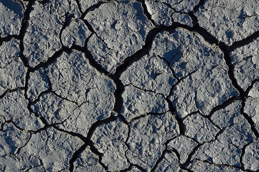 drought, withers, dry, earth, ground, dehydrated, cracks, cracked HD wallpaper
