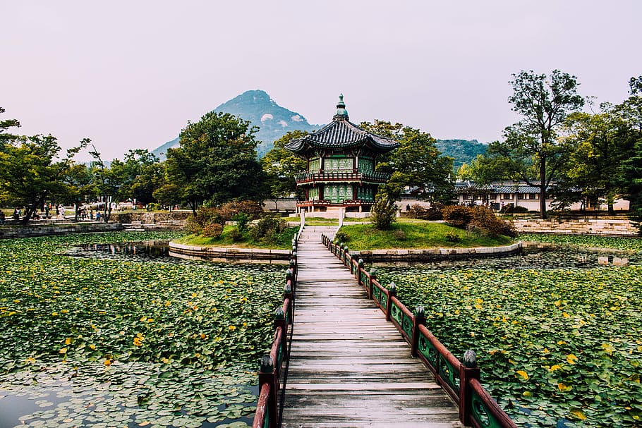 seoul, south korea, gyeongbokgung palace, pavillon, temple HD wallpaper