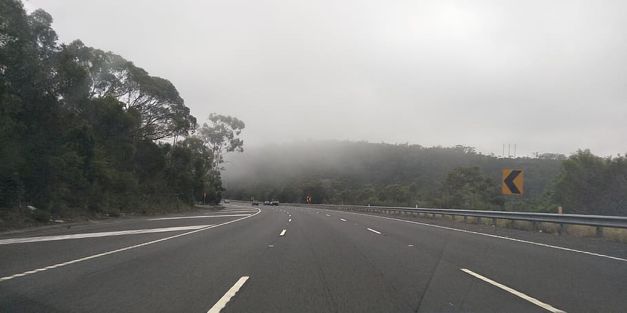 australia, sydney, m1, trees, turn, corner, road, mist, fog HD wallpaper