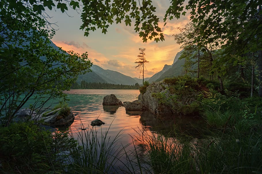 nature, waters, tree, landscape, lake, reflection, sunset, summer HD wallpaper