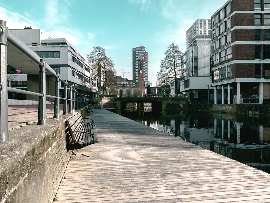 rotterdam, netherlands, water, mirror, architecture, bench HD wallpaper