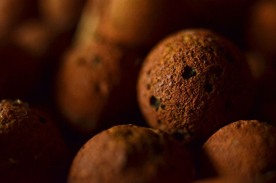 macro, micro, detail, sphere, round, sharp, in focus, brown HD wallpaper