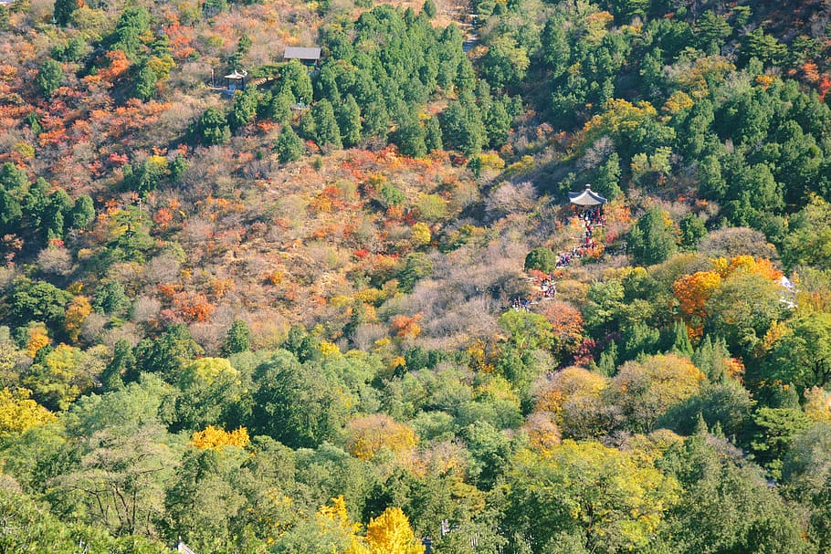 autumn, beijing, fragrant hill, park, overlooking, colorful HD wallpaper