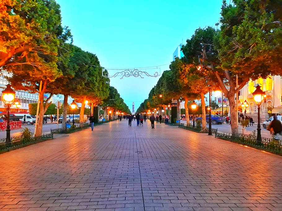 path, walkway, human, person, sidewalk, pavement, pedestrian HD wallpaper