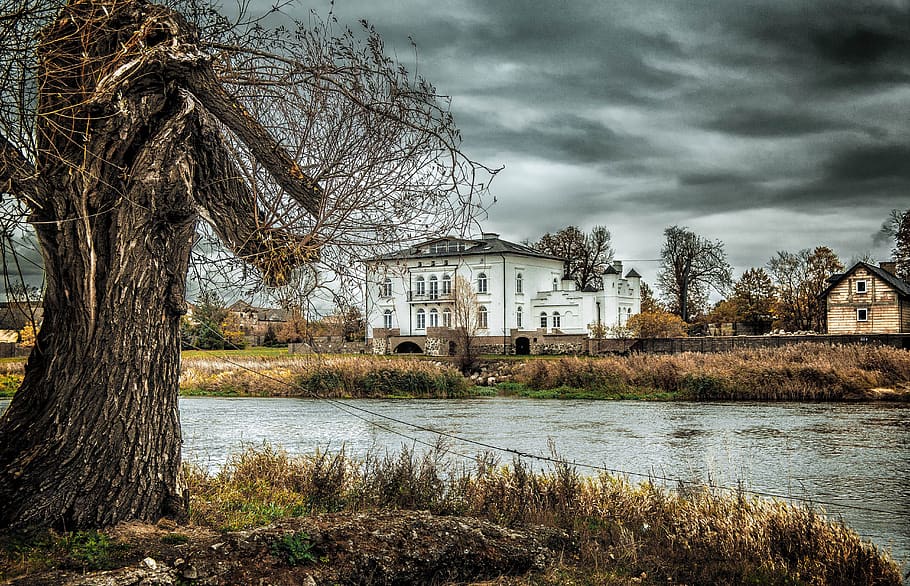 tree, river, landscape, nature, clouds, manor, manor house HD wallpaper