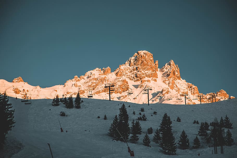 pine trees on mountain, plant, fir, abies, nature, boat, vehicle HD wallpaper
