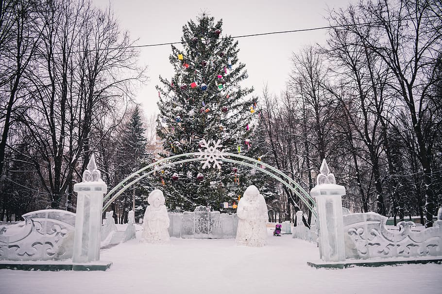 new year, christmas, christmas tree, cold, winter, snow, russia HD wallpaper